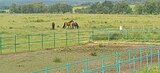 Срочно требуется конюх в конюшню (15голов).