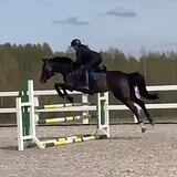 СТАРТОВЫЙ ОПЫТ ДО 110 СМ 