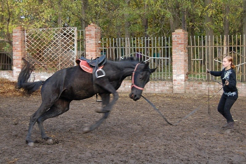 Я и русская верховая кобылка Таминга (Горихвост-Тонгуль) 2008 г.рожд, с Вяземского к.з.