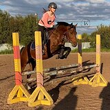 ГНЕДОЙ ЖЕРЕБЕЦ