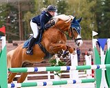 Мерин на маршруты 120