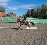Пони 146 вх