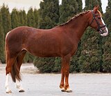 МАКСИМАЛЬНО БЕЗОПАСНАЯ 