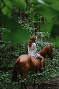 Конкурная кобыла 