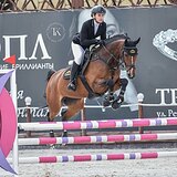 ВЕСТФАЛЬСКАЯ КОБЫЛА