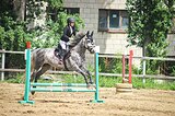 Конкур 100 под детьми