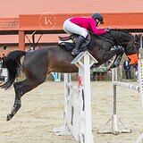 СТАРТОВЫЙ ОПЫТ ДО 130 СМ