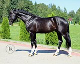 ИМПОРТ ИЗ ГЕРМАНИИ