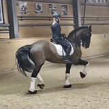 МЕРИН | УРОВЕНЬ МП НА 68%