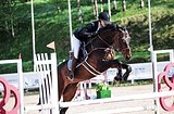Кобыла 2015 гр, 173 вх