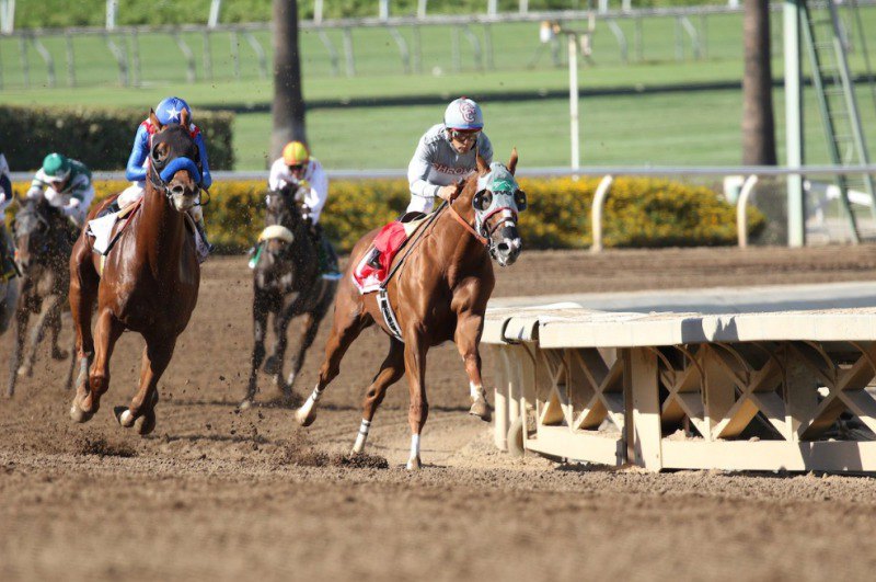 Ипподром Santa Anita Park 2016 год, скачка Awesome Again Stakes G1