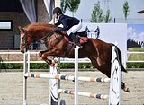ЖЕРЕБЕЦ В КОНКУР