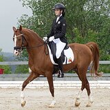 ДЕТСКИЕ ЕЗДЫ НА 70%