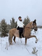 Выездка, конкур, прогулки