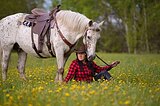 ЧУБАРАЯ КОБЫЛА В ХОББИ