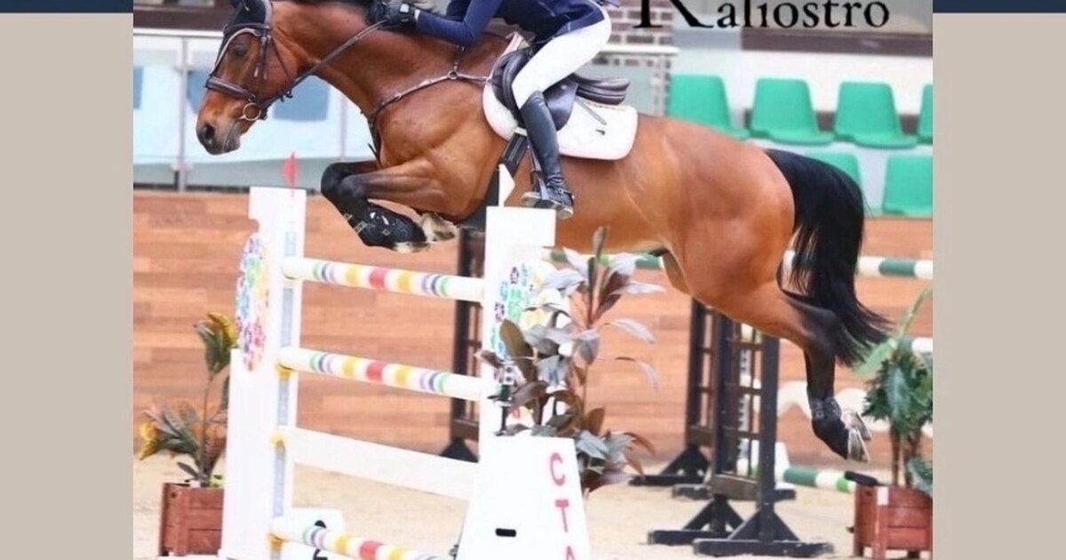 Спортсмен какой находится