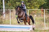 КОНКУР / ТРОЕБОРЬЕ. 300 000