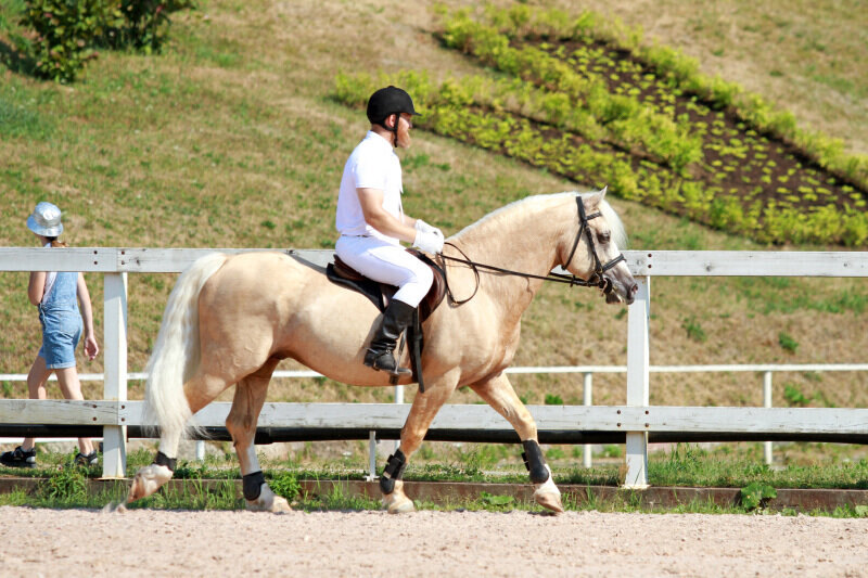 ДЭВИС ТЕМПТЕЙШН и Камин Андрей