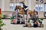 Мерин 2013 гр
