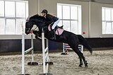 Тракененская кобыла