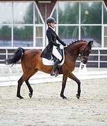 ВЫЕЗДКОВЫЙ УЧИТЕЛЬ В ХОББИ