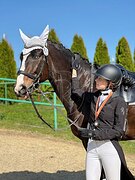 ЛОШАДЬ ДЛЯ БОЛЬШИХ ПОБЕД