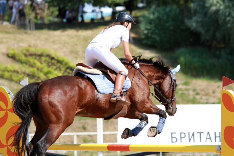 ВИДАЛЬ и Панина Юлия