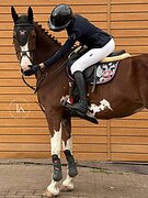 НЕВЕРОЯТНО КРАСИВАЯ КОБЫЛА