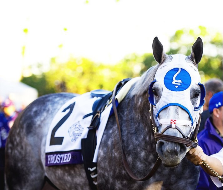 Ипподром Keeneland, скачка Breeder's Cup Classic