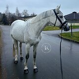 ЭЛЕМЕНТЫ ЮНОШЕСКИХ ЕЗД