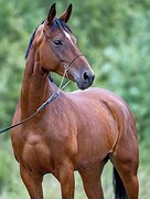 МАРШРУТЫ 110 ПОД РЕБЕНКА