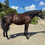 СТАРТОВЫЙ ОПЫТ ДО 125