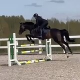 СТАРТОВЫЙ ОПЫТ ДО 110 СМ