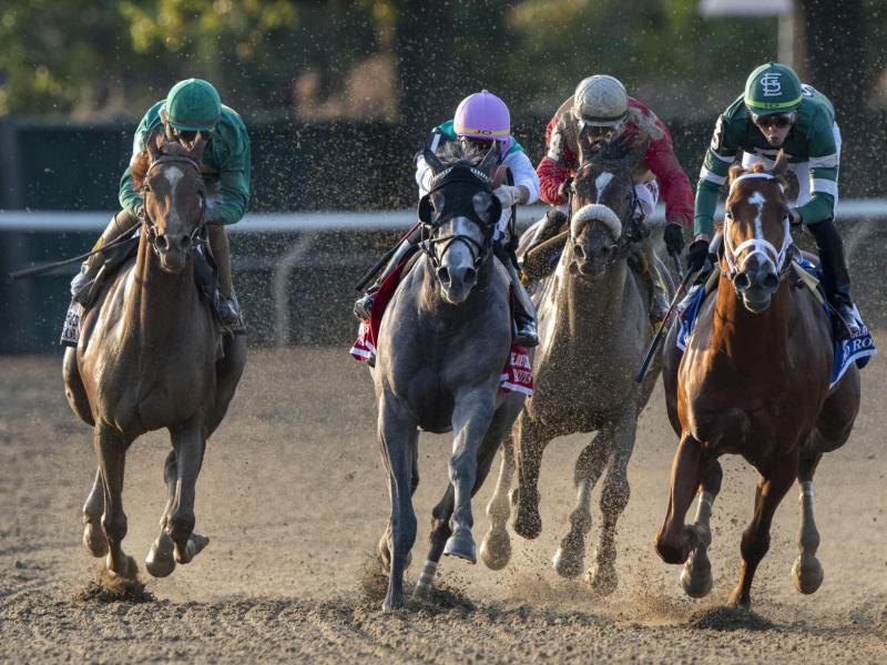 Ипподром Belmont Park, скачка Jockey Club Gold Cup Stakes (Gr. 1) 2019 год. 