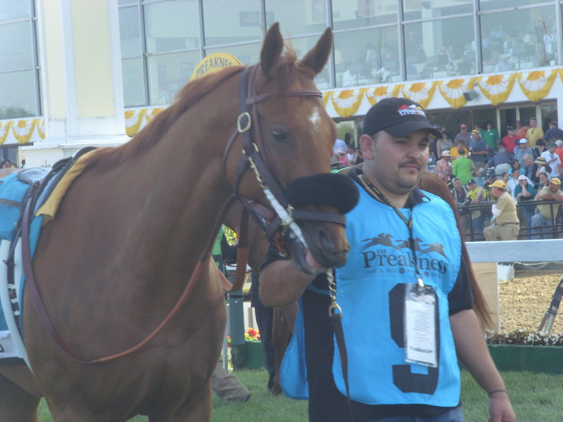 Ипподром Pimlico 2010 год, второй этап Тройной Короны - Preakness Stakes - Gr. 1