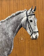 ОРЛОВСКАЯ КОБЫЛА 5 ЛЕТ