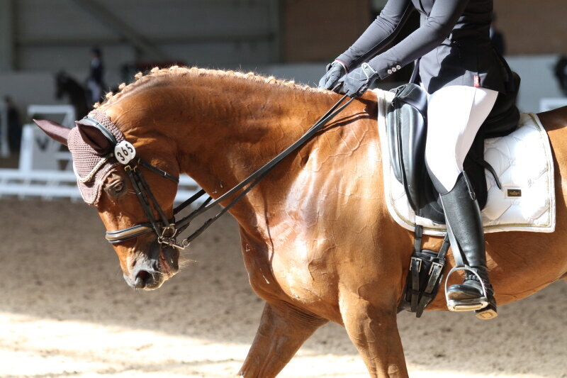 ДАБЛ ПАУЭР и Чугунова Ирина