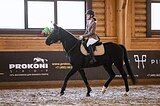 Мерин 2015 гр, 163 вх