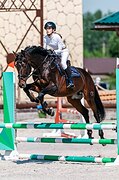 Производители, хобби
