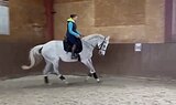 Выездка, конкур