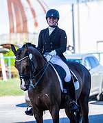 Выездковый мерин 