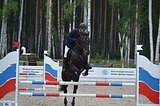 Мерин