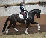 от Bon Courage 5 лет