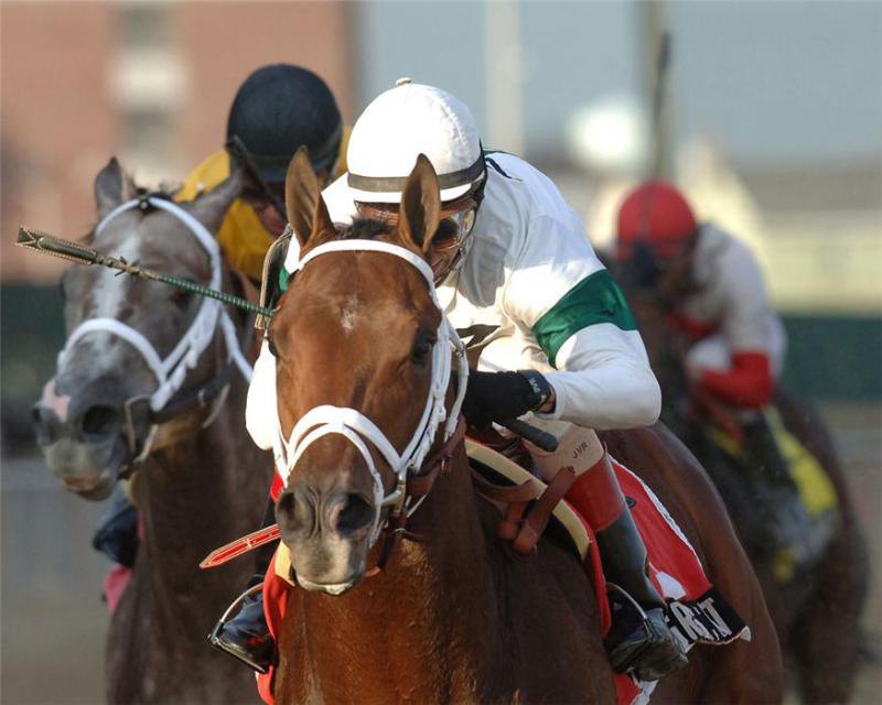 Ипподром Aqueduct 2005 год, скачка Remsen Stakes