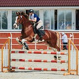 СТАРТОВЫЙ ОПЫТ ДО 100 СМ