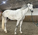 СИЛЬНАЯ, ПЕРСПЕКТИВНА НА ВЫ