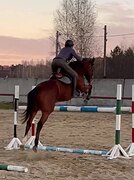 СИЛЬНАЯ КОБЫЛА