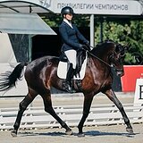 УРОВЕНЬ ПОДГОТОВКИ МП