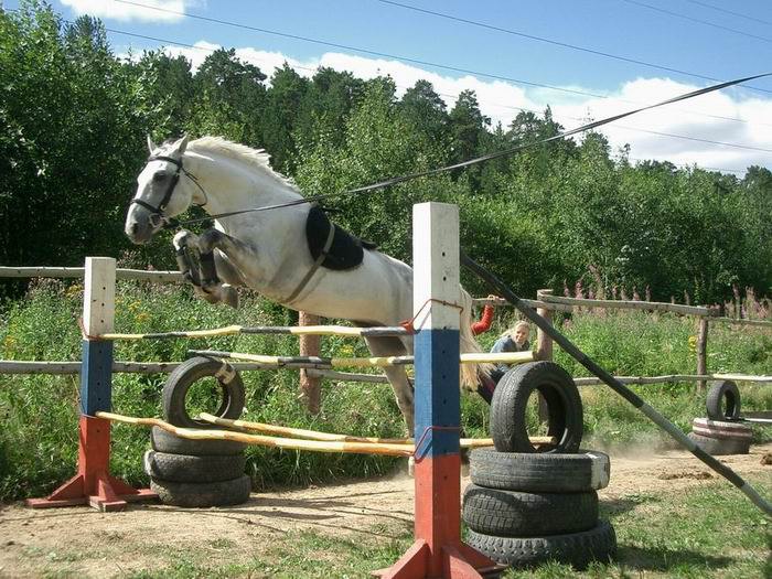 Готовимся к соревнованиям август 2007