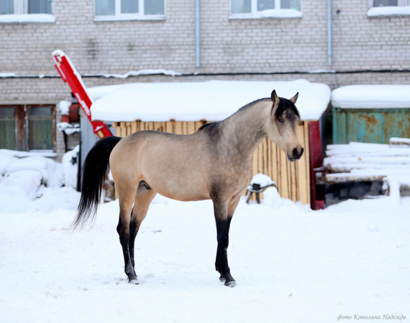 (Черва - Эфир)